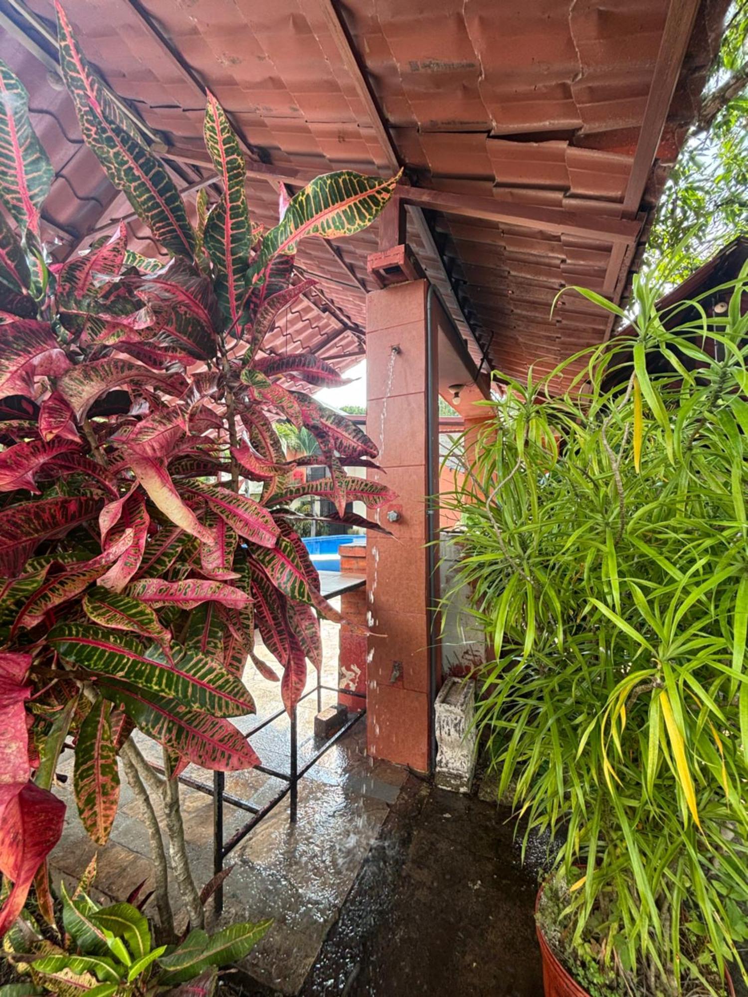 Casa Jana Apartment El Roble Ngoại thất bức ảnh